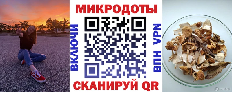 Псилоцибиновые грибы Psilocybe  Каргат 
